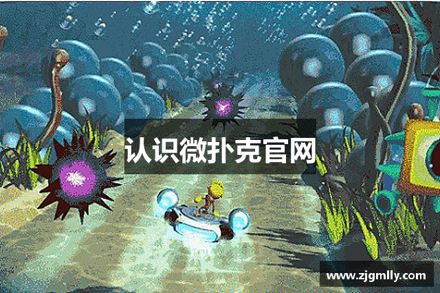 针织牛仔布厂家